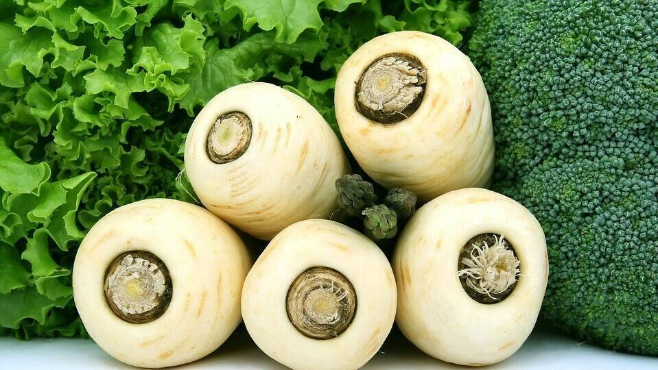 appetite-1239171_960_720|14918_modal|14920_modal